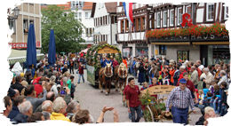 Kutsch