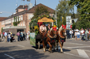 Feste und Umzüge