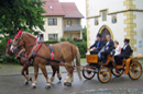 Feste und Umzüge
