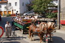 Kutsch und Planwagenfahrt